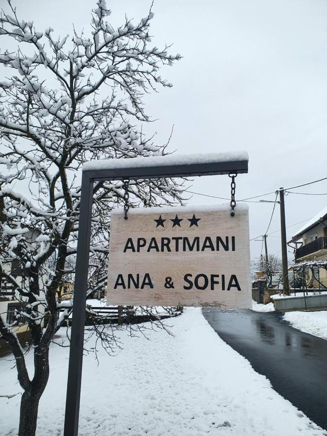 אוטוצאץ Apartman Sofia מראה חיצוני תמונה